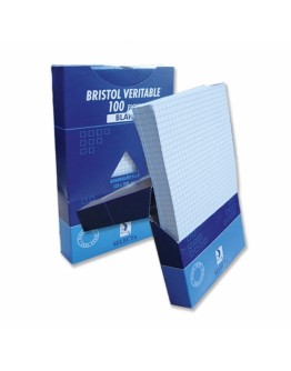 FICHE BRISTOL BLANC AVEC ETUI PM 100F 180G SELECTA