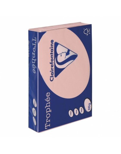 PAPIER COULEUR A4 SALMAN XEROX SYMPHONY 80GR