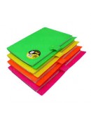 Porte documents A4 en PP 80 vues couleurs assorties EVIDENCE